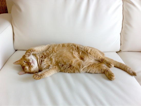 EAAC2329-201E-40BD-8C81-DFD297533616