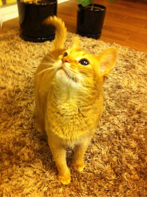 photo:06