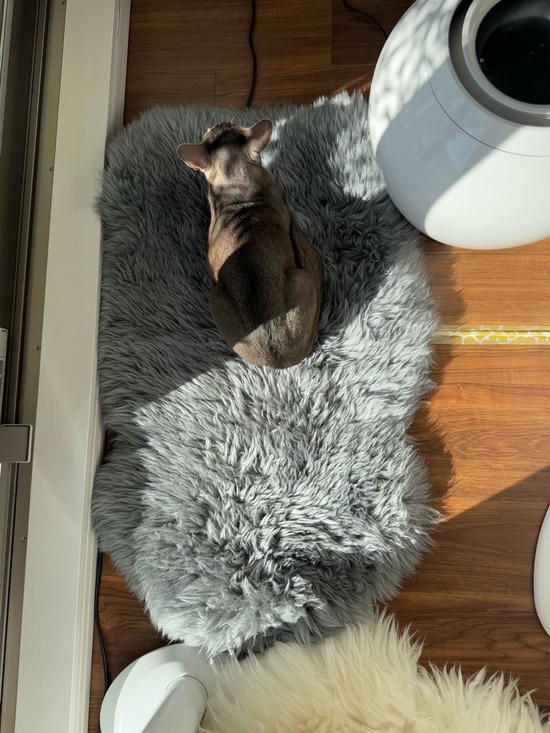FullSizeRender