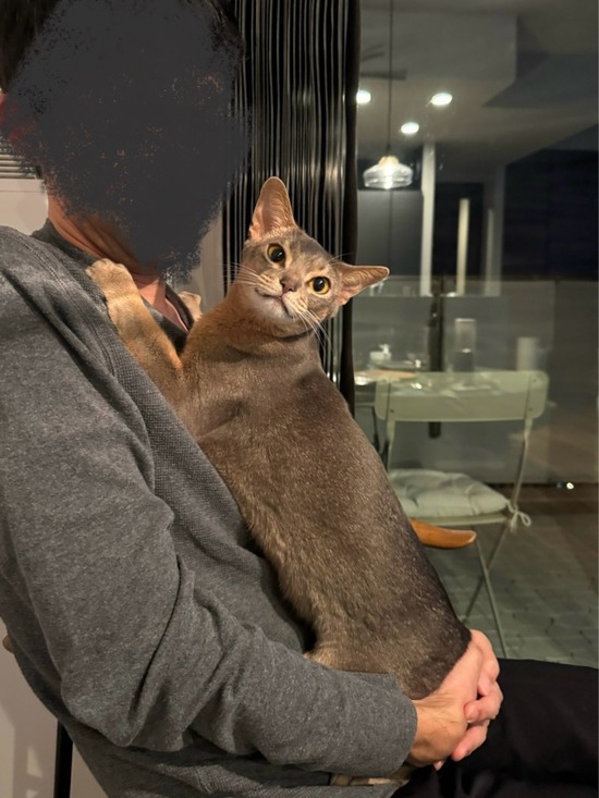 FullSizeRender