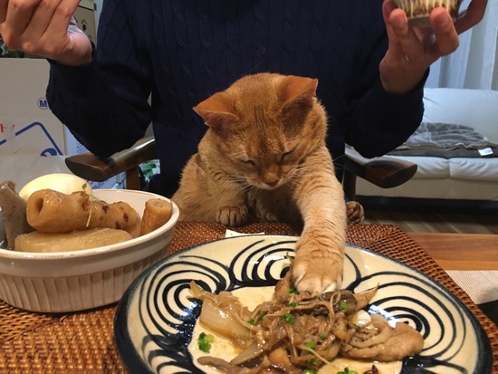 8BFC10EC-F083-4AD8-AD1B-B5E5C382489C