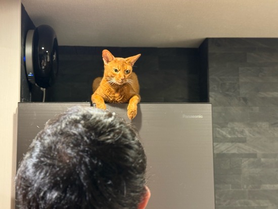 FullSizeRender