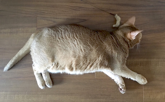 C9FF9CB6-2849-4C90-90C2-E79B18C0B95F