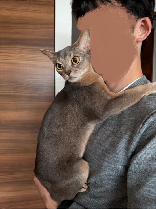 FullSizeRender