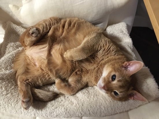 6F9BF73C-DBC0-453C-BD05-985E9071A6A2