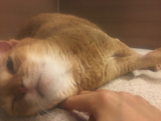 31F511F2-65CD-4AF9-8855-EF5E3FDF29BE