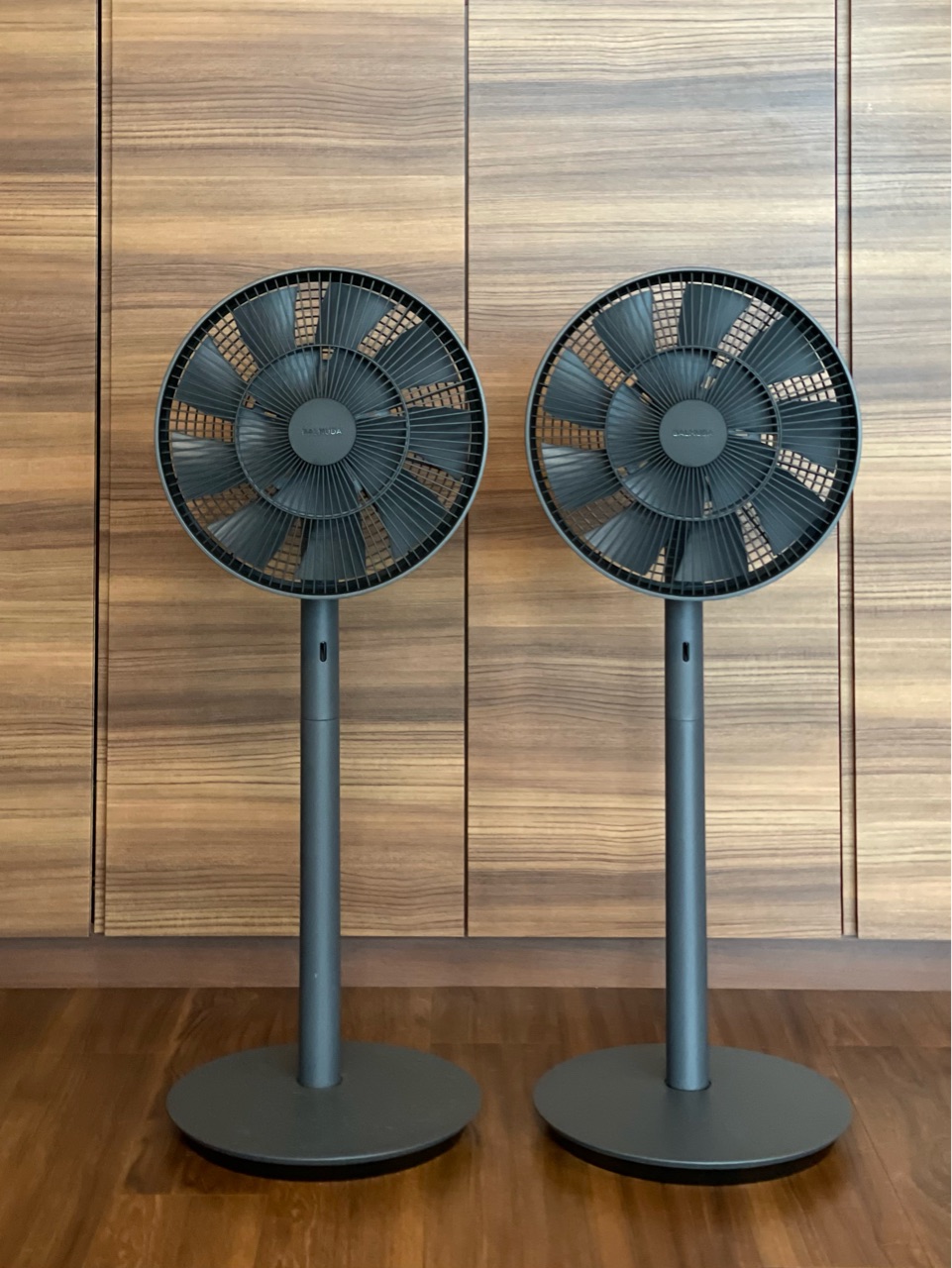 扇風機を買い足し バルミューダ「The GreenFan」アゲイン… : おうち