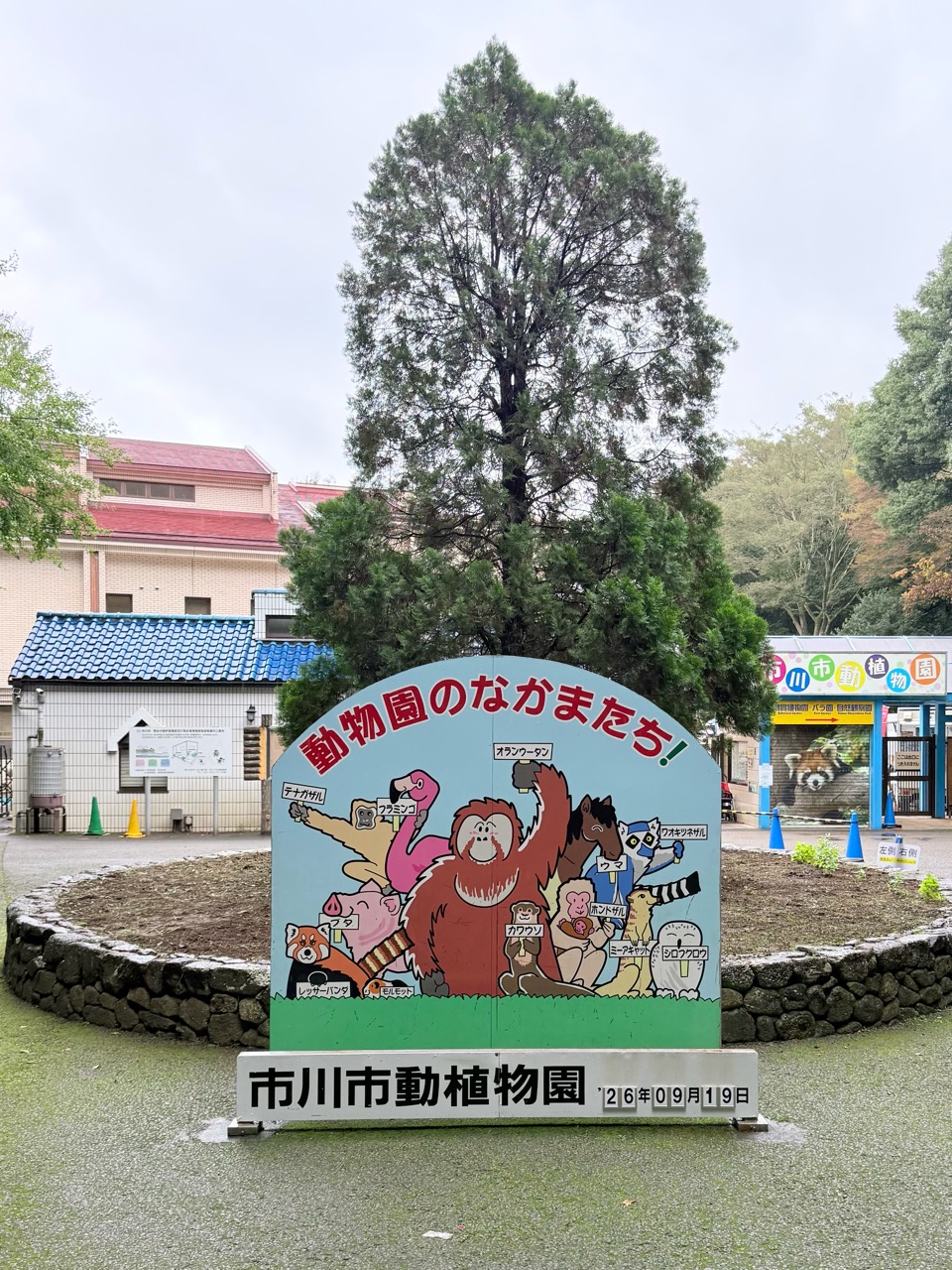 市川市動植物園へパンチくんに会いに&パンチくん切手を買うために長蛇