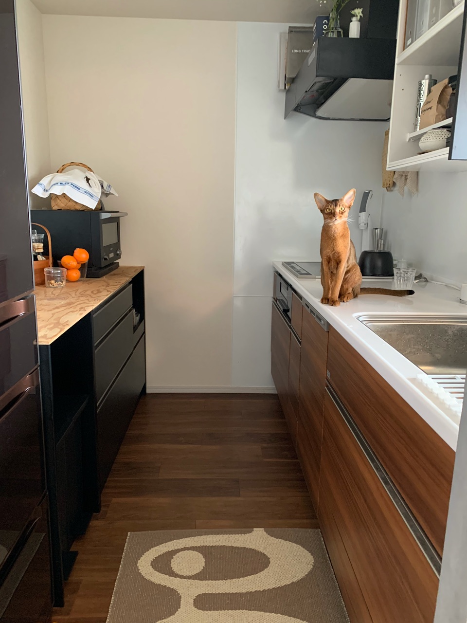 冷蔵庫をカッティングシートで黒にしてみた おうちごはんとおかしとねこ Powered By ライブドアブログ 冷蔵庫をカッティングシートで黒にしてみた おうちごはんとおかしとねこ Powered By ライブドアブログ
