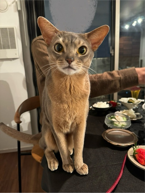 FullSizeRender