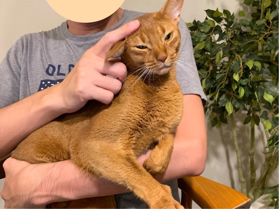 FullSizeRender