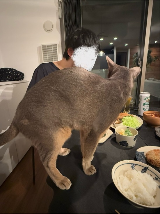FullSizeRender