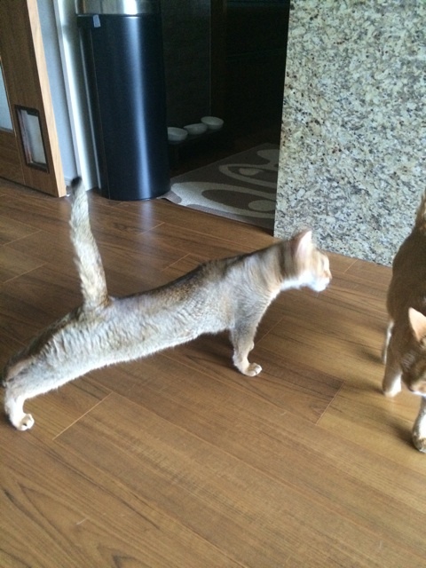 {7F7D516E-1D7C-4802-BED4-C01A9F47C3B7:01}