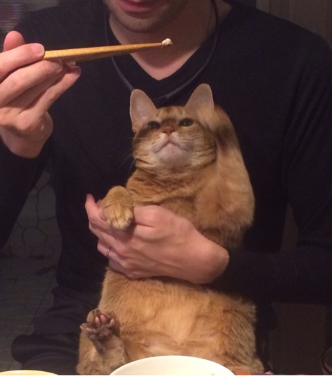 {7C6A6833-2ED0-4A7E-868D-A65458A996BD:01}