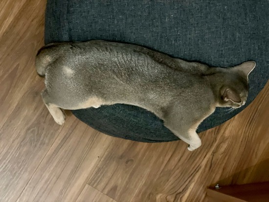FullSizeRender