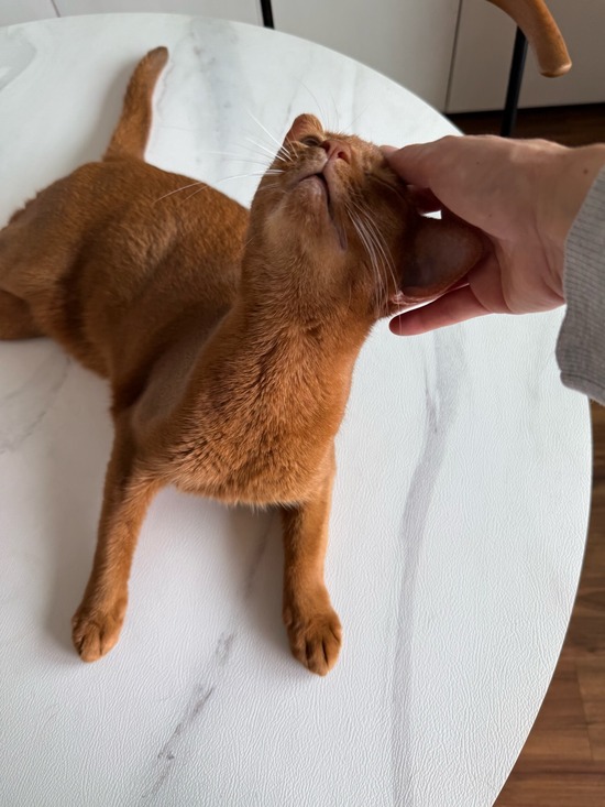 FullSizeRender