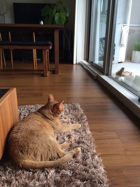 {986020BC-5109-4E66-A21D-065348EB0AC7:01}