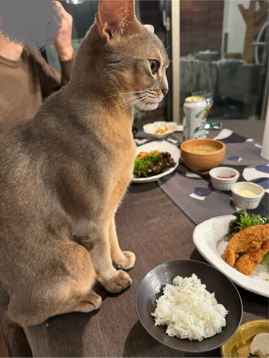 FullSizeRender