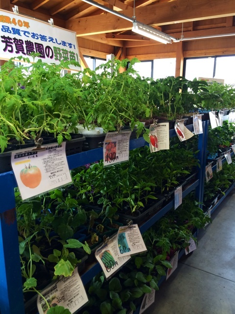 {998FC43D-F492-4FA5-864E-A8F56954D691:01}