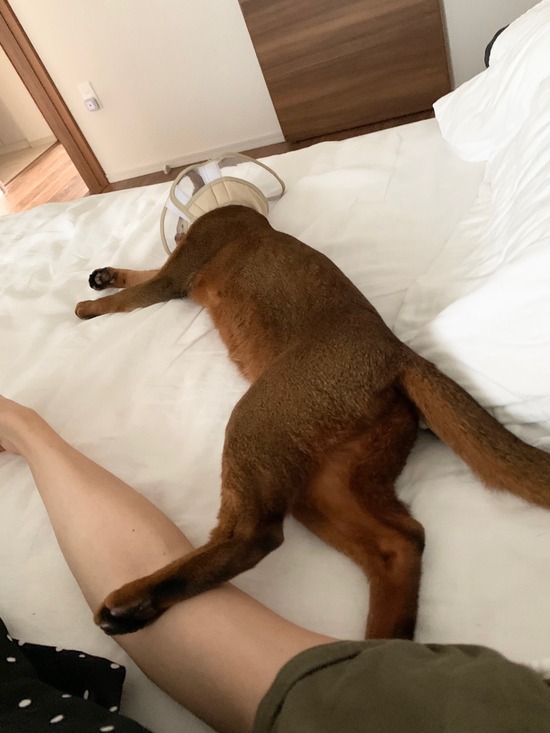 FullSizeRender