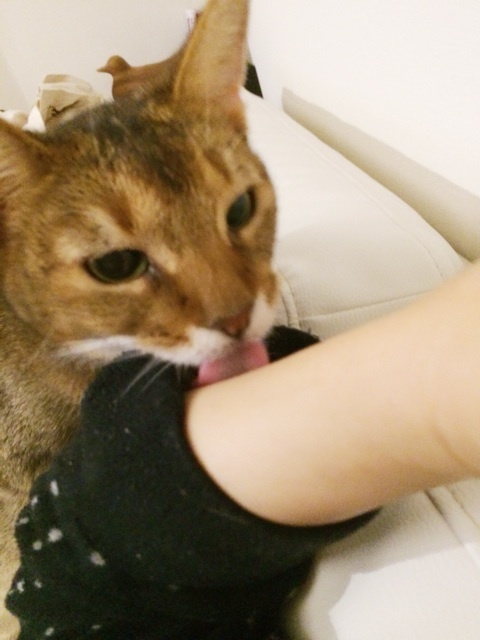 {D6C68A88-68A1-4A59-9A34-84F2E2795B25:01}