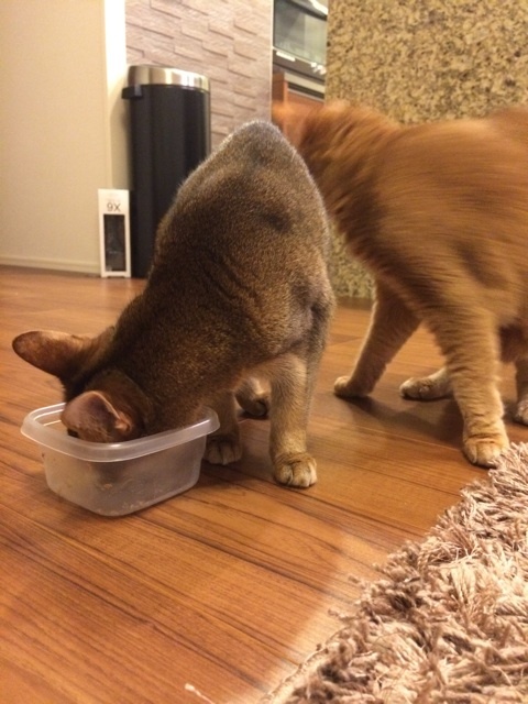 {1BD5EB89-7EEF-400F-ABC4-14F65011DF60:01}