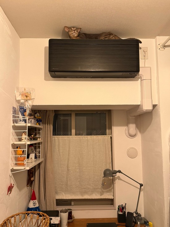FullSizeRender