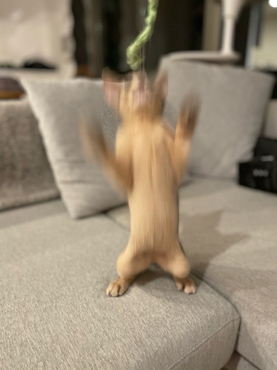 FullSizeRender