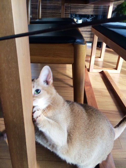 {F091EFF1-86A1-4592-A4AC-2EC3C7C7CFAF:01}