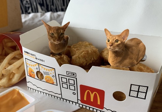 マックランチとひめナゲット おうちごはんとおかしとねこ Powered By ライブドアブログ