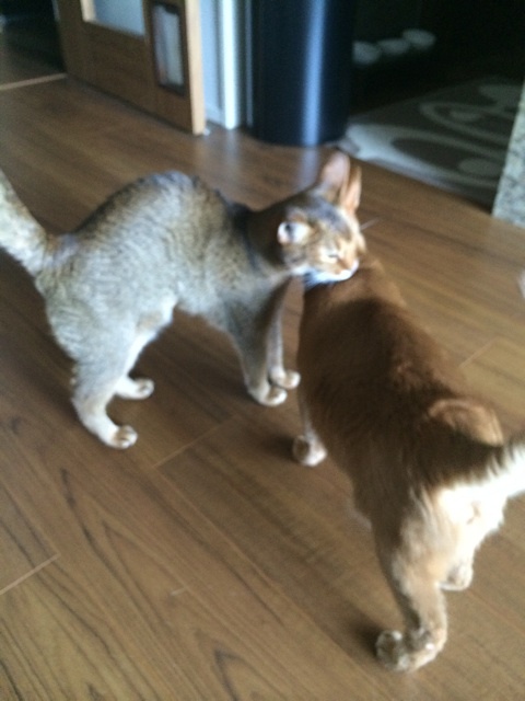 {2780CB27-2E50-44A7-819B-F39DAB2B7680:01}