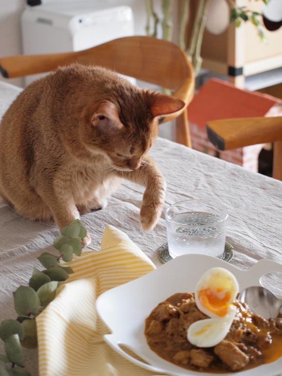 3FCF3764-A06A-4FF5-8D88-B7750BC9A8A2