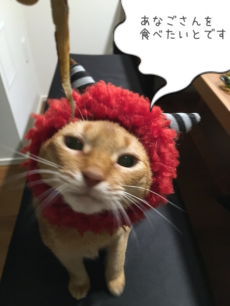 502FB7AA-8393-497C-A8A5-F953D1D7C121