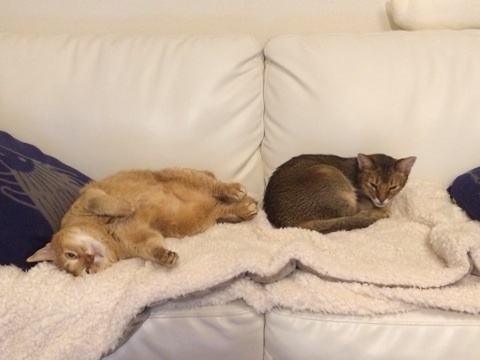 {5DE4707B-7981-4053-B509-7FE8EB598F8A:01}