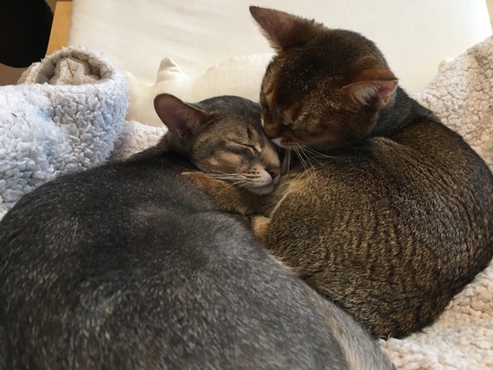 161F59B0-02CA-4A31-9DAE-AF48F26EFB32