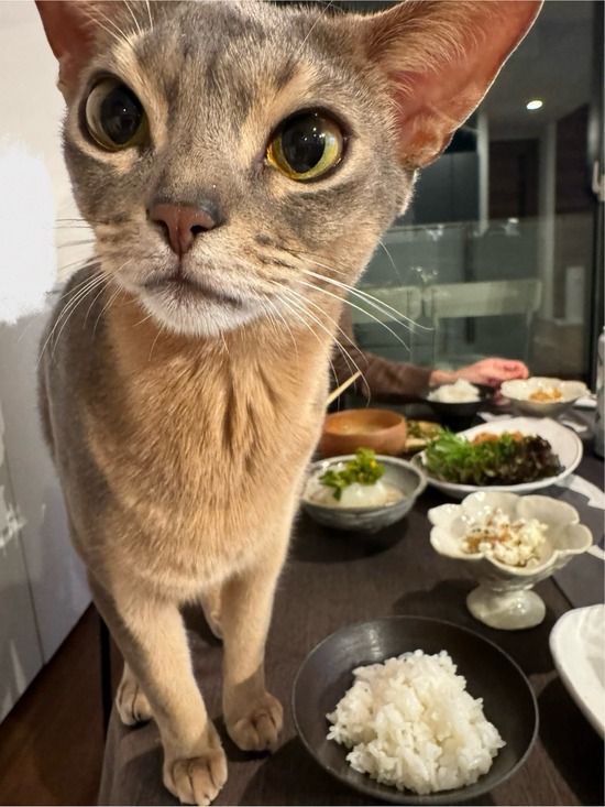 FullSizeRender