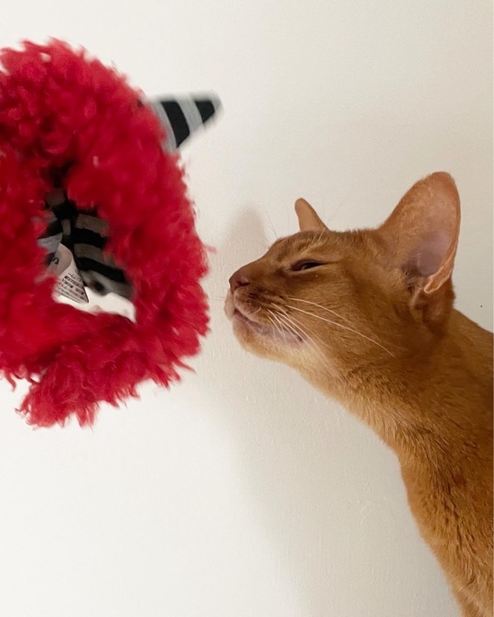 2B9DE063-AED5-4B8C-A5B4-0110DA47AA78