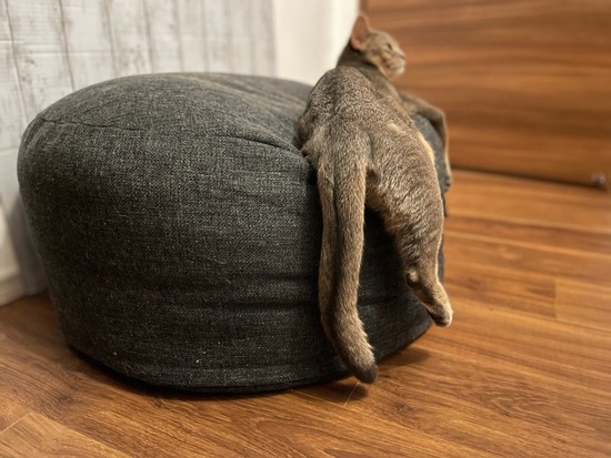 FullSizeRender