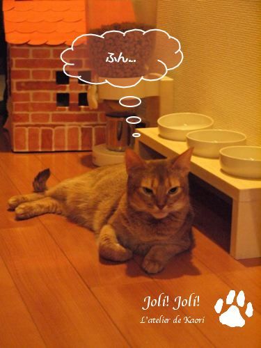 joli!joli!のおうちごはんとおかしとねこ♪