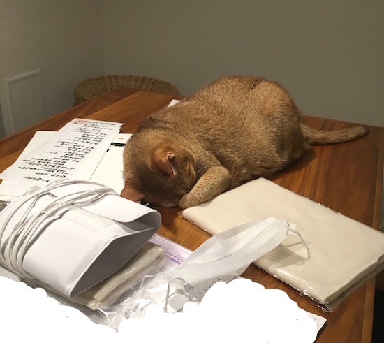 4D28B82F-5A2C-454B-B677-31CFF2D35E35