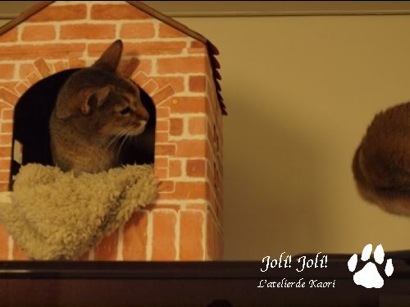 joli!joli!のおうちごはんとおかしとねこ♪