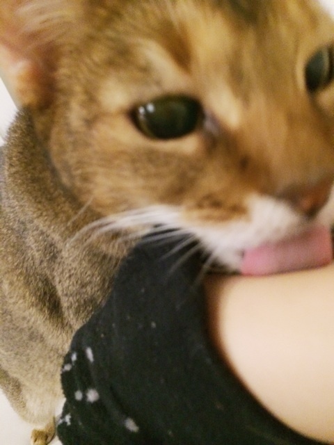 {E0524981-AAEF-478A-A3AF-D19833CF56FC:01}