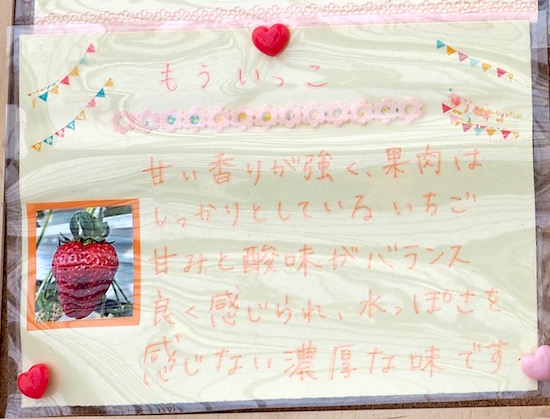 P3102740 のコピー 2