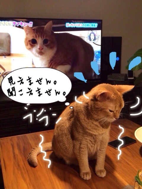 {873F0EEF-F329-4A70-B78D-70AB4F07F02F:01}