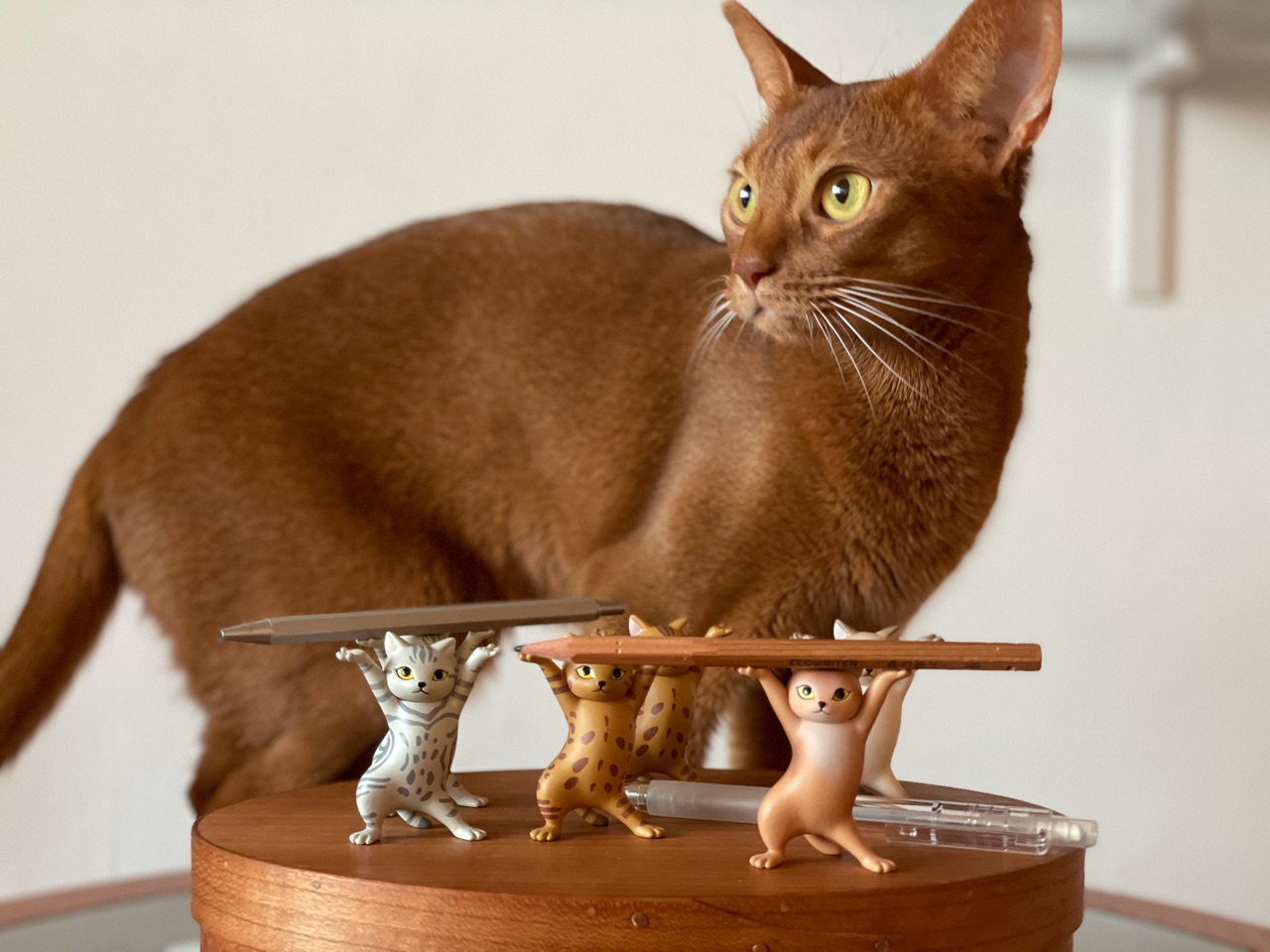 アビシニアンが出るまで大人回しした ネコのペンおき2 おうちごはんとおかしとねこ Powered By ライブドアブログ