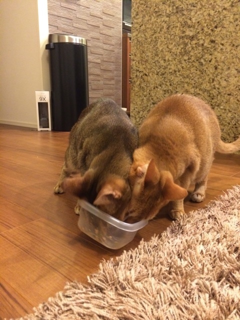 {2B6DEFE2-9294-4163-8070-C60FCEE000B1:01}