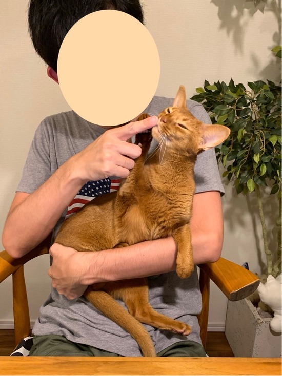 FullSizeRender