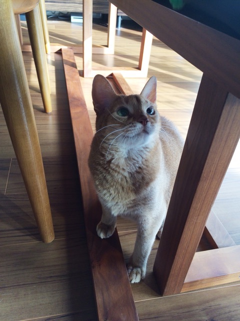 {AE3A9FF3-BC87-4195-91E6-6D8C3F3E29D7:01}