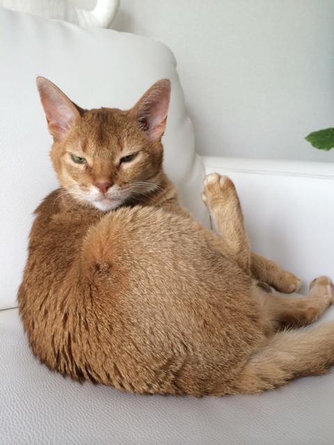 {91E16548-ECFF-4778-8EC2-AC0126931F91:01}