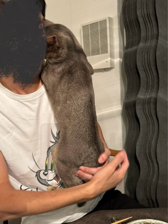 FullSizeRender